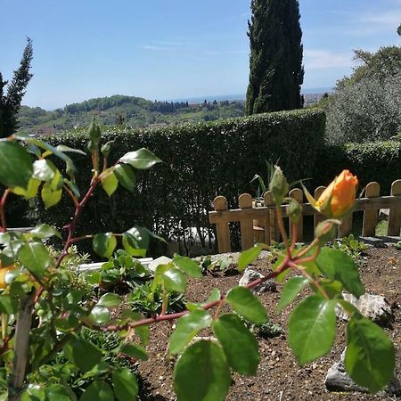 Da Adria Al Corvenale - Casa Vacanze Carrara - Villa Kültér fotó